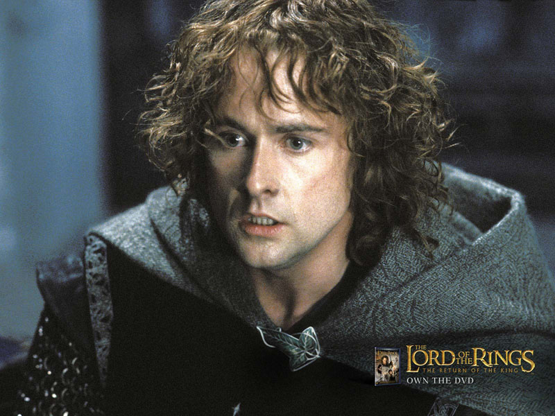 Pippin, Lord of the Rings, Return of the King